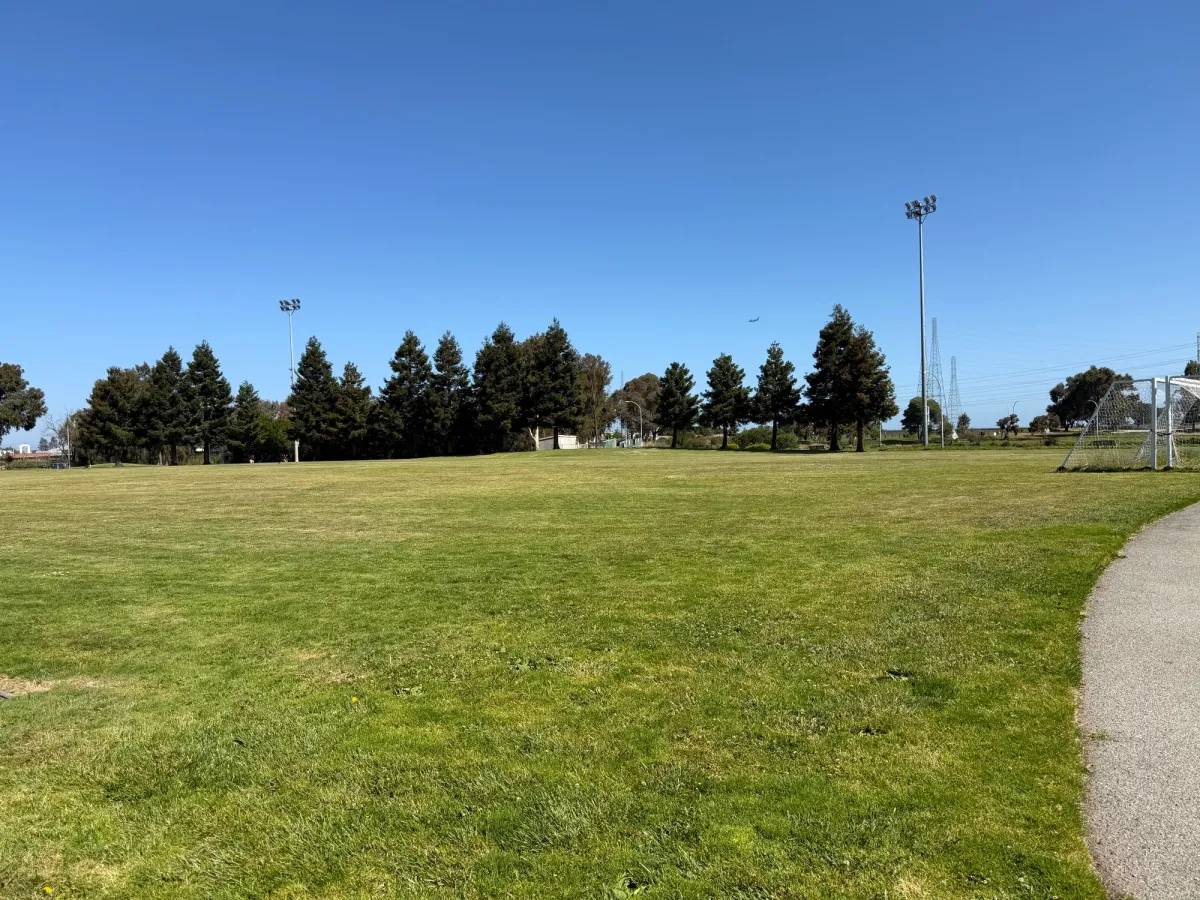 Large soccer field