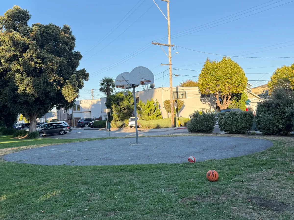 Basketball hoops