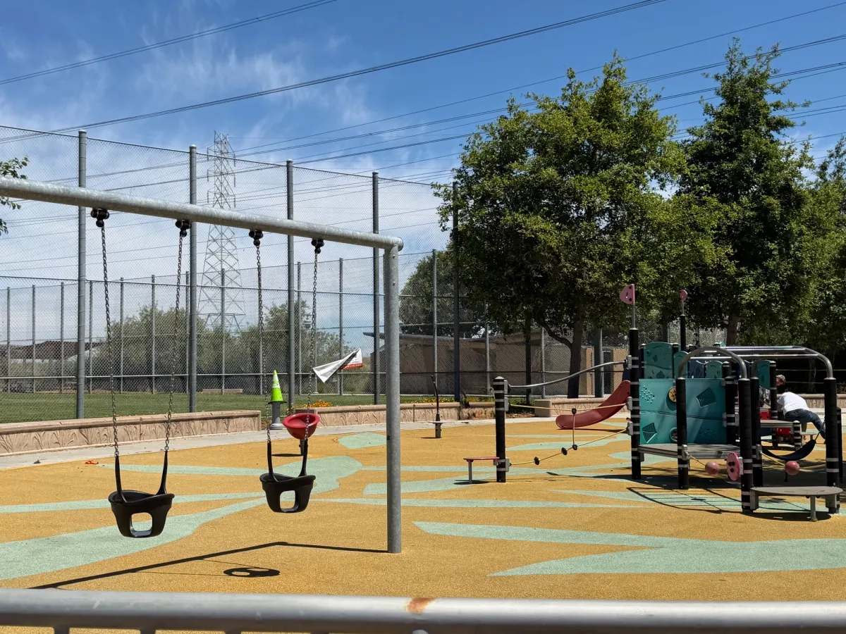 Baby swings and monkey bars