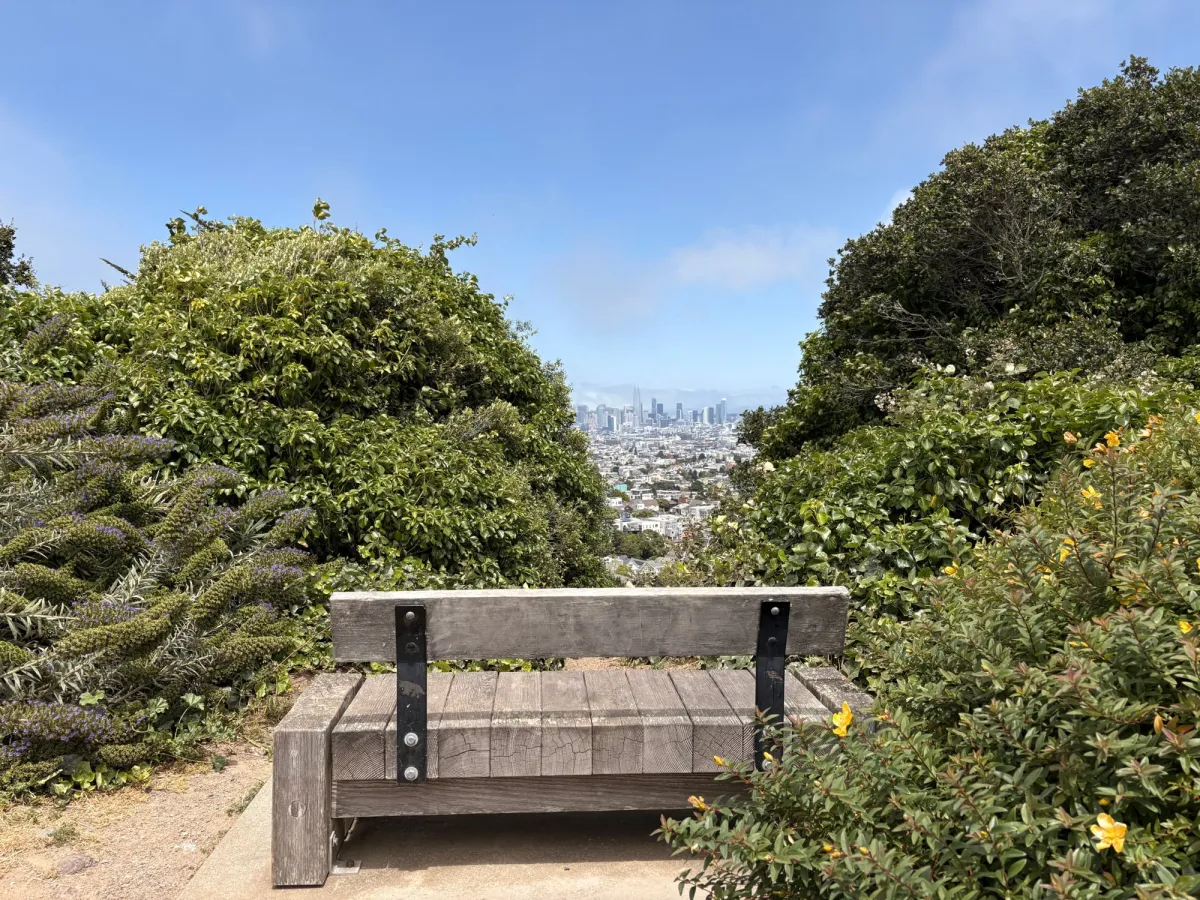 a spot for a killer view