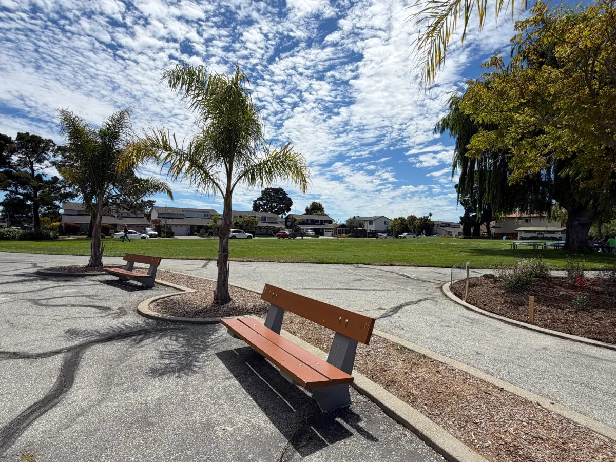 Palm trees, weeping willows give ambiance to enjoy the view