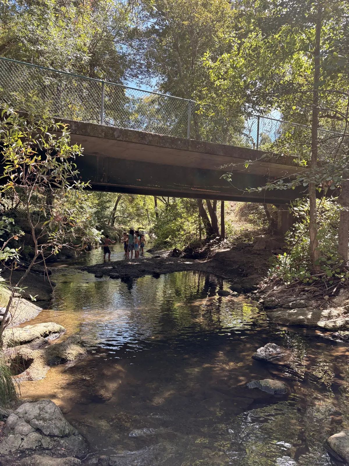 Morton's Warm Springs