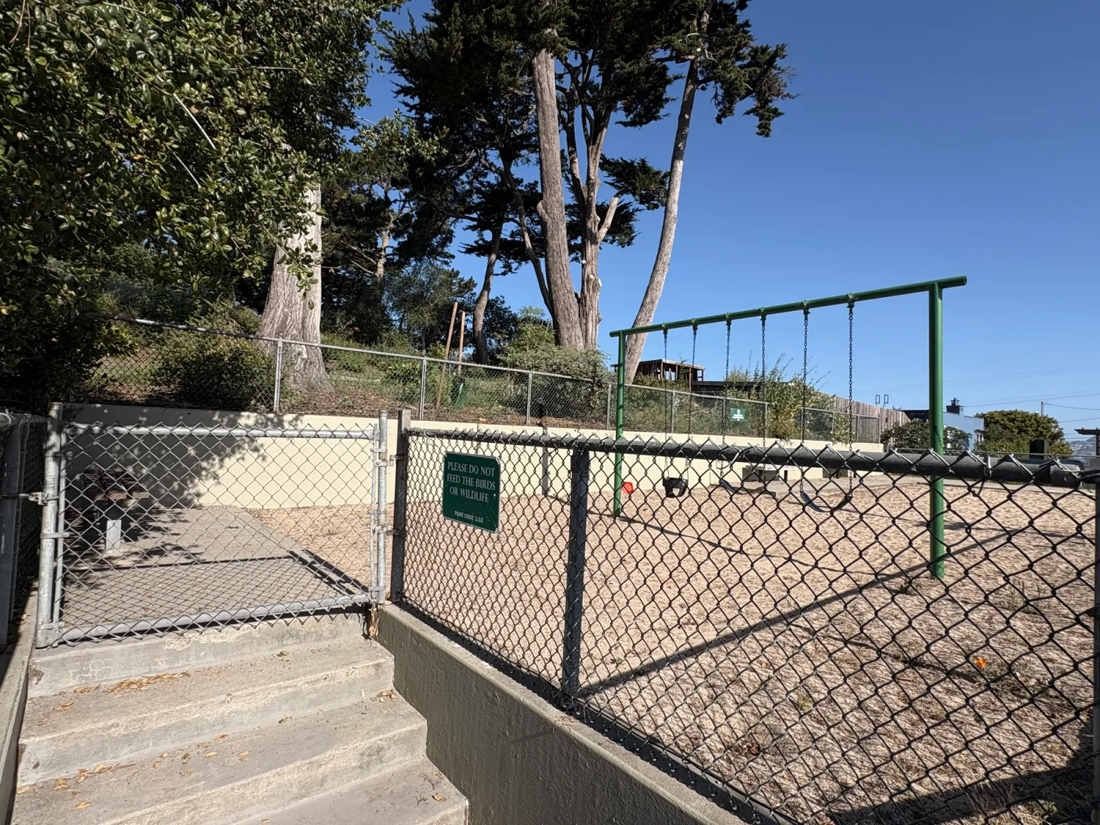 Swings and fence