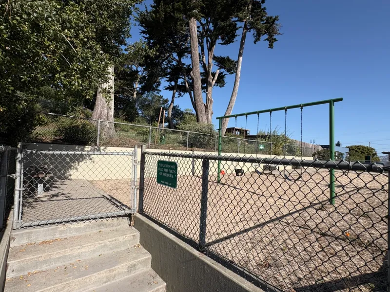 Swings and fence