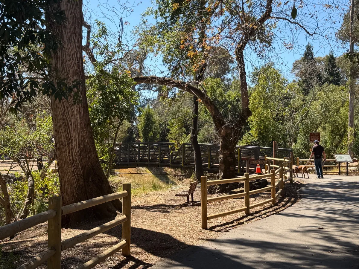 Bridges 
