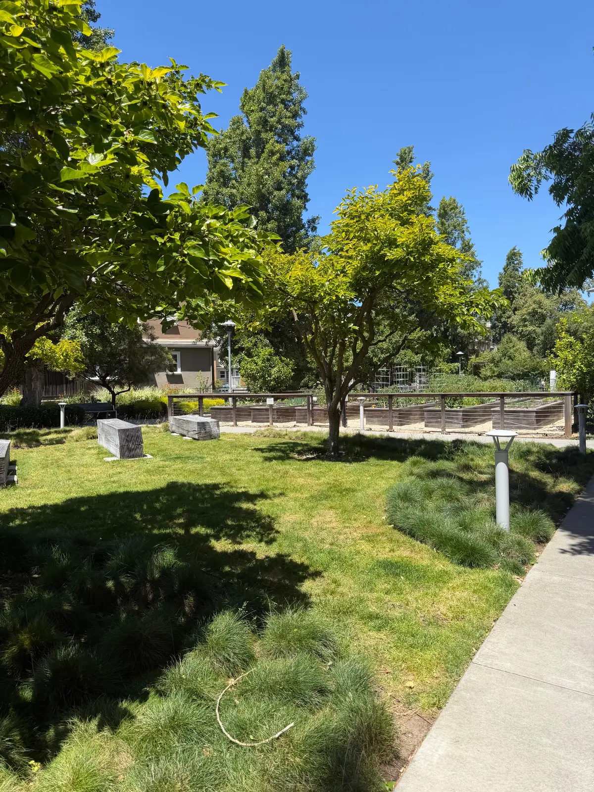 Community gardens