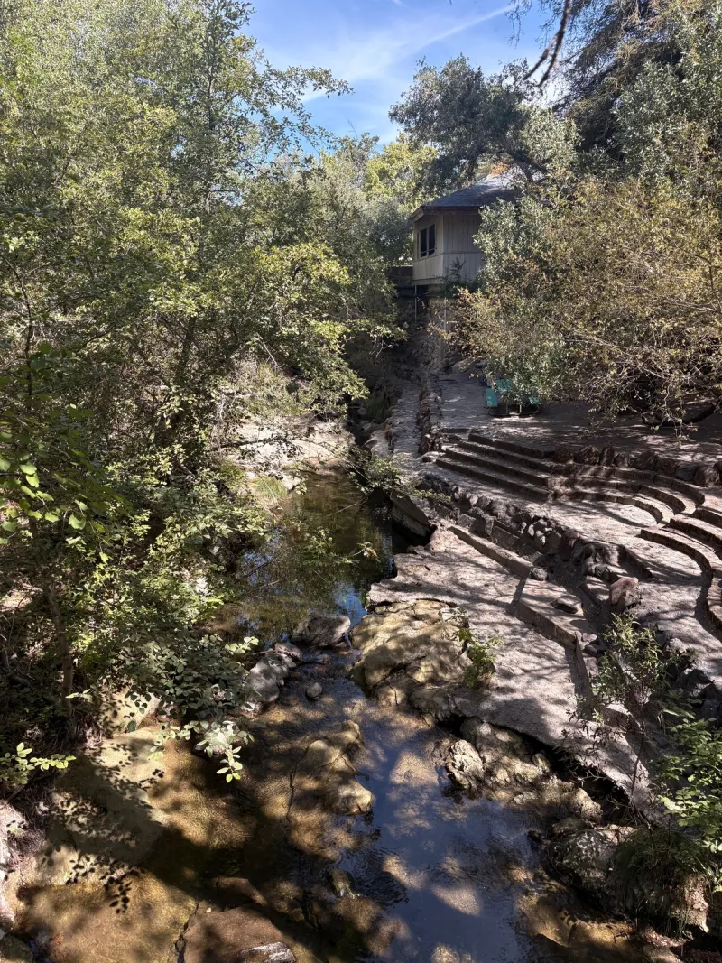 Morton's Warm Springs