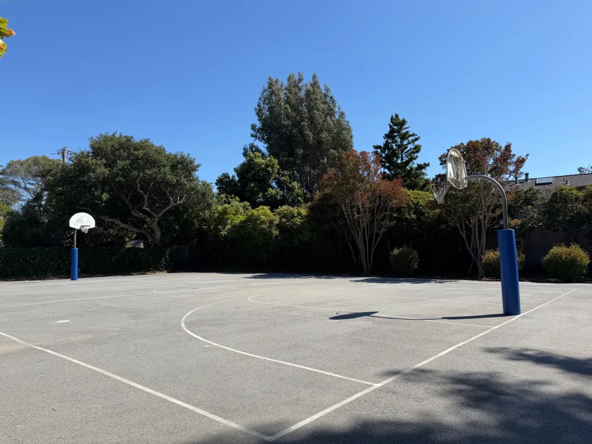 Basketball court