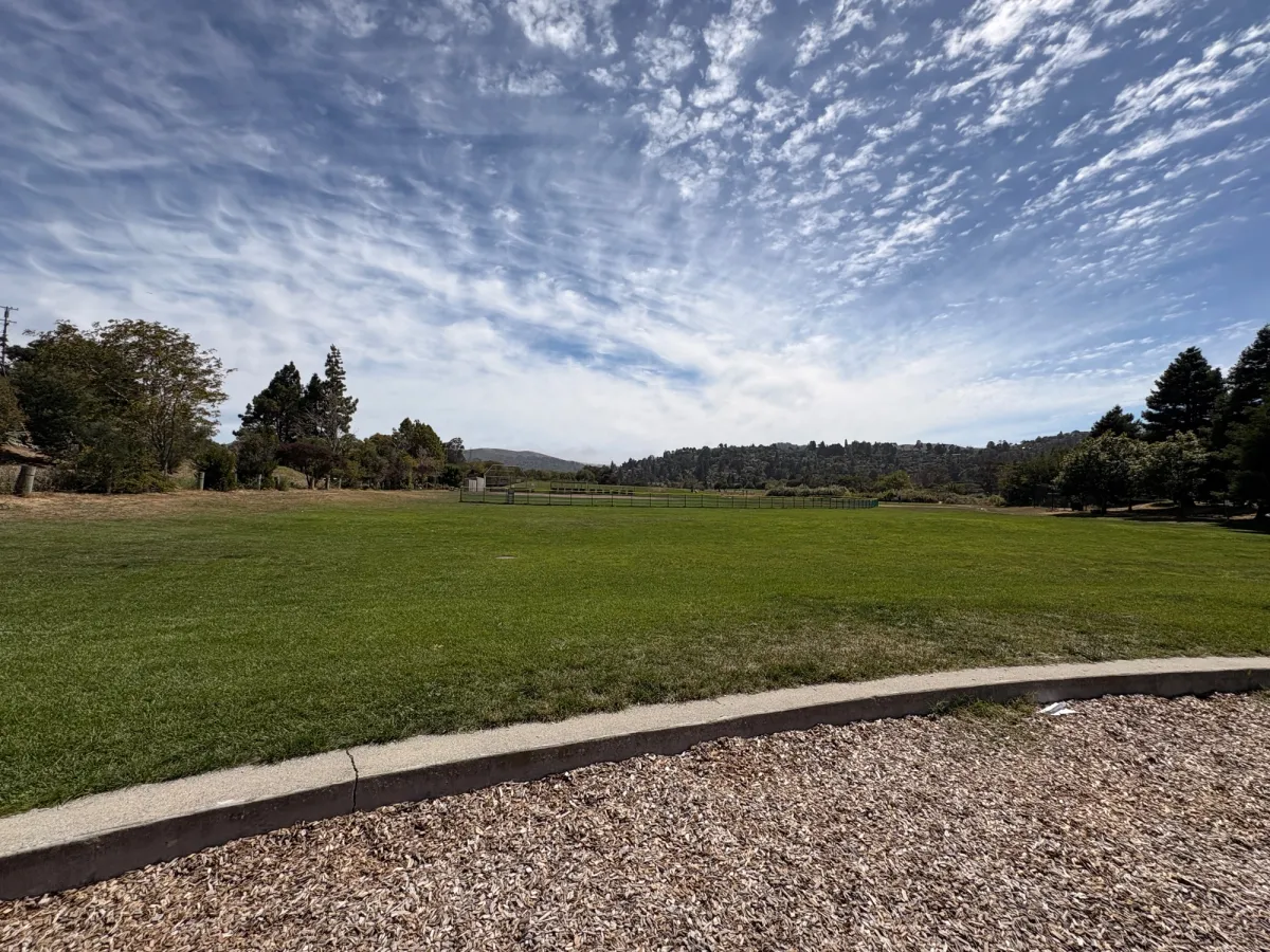 Big grassy field and that Mill Valley view