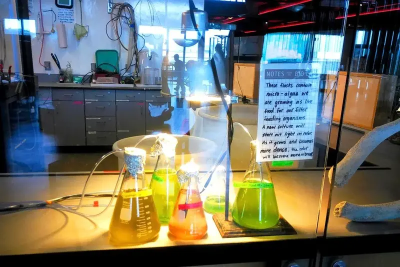 Exploratorium