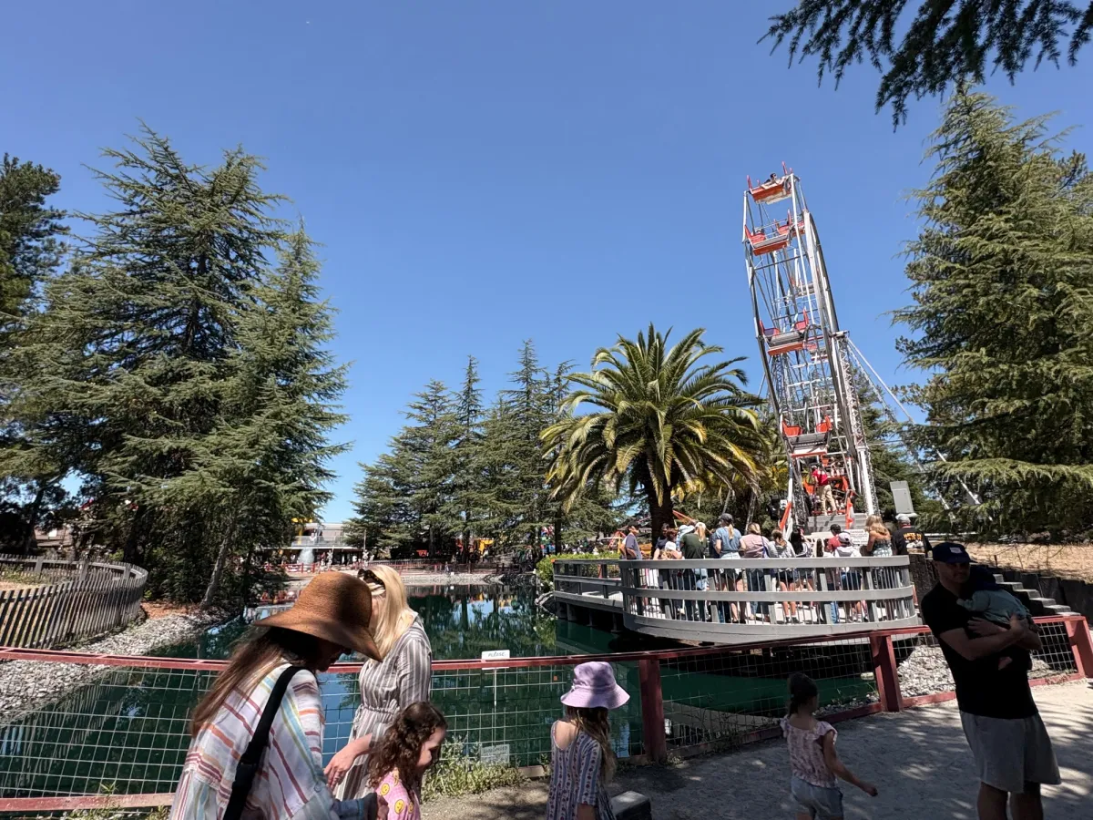 Amusement Park