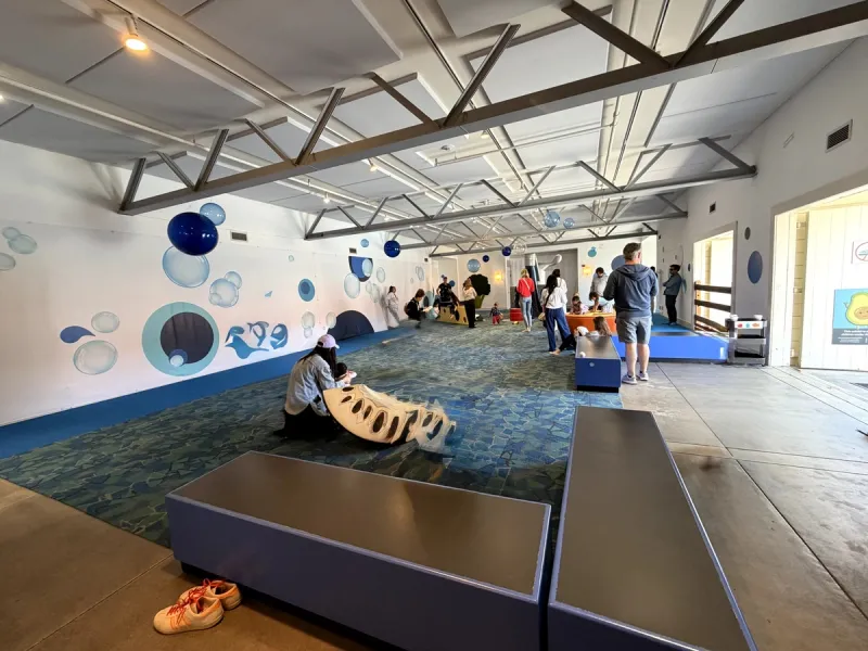 Play area for littles