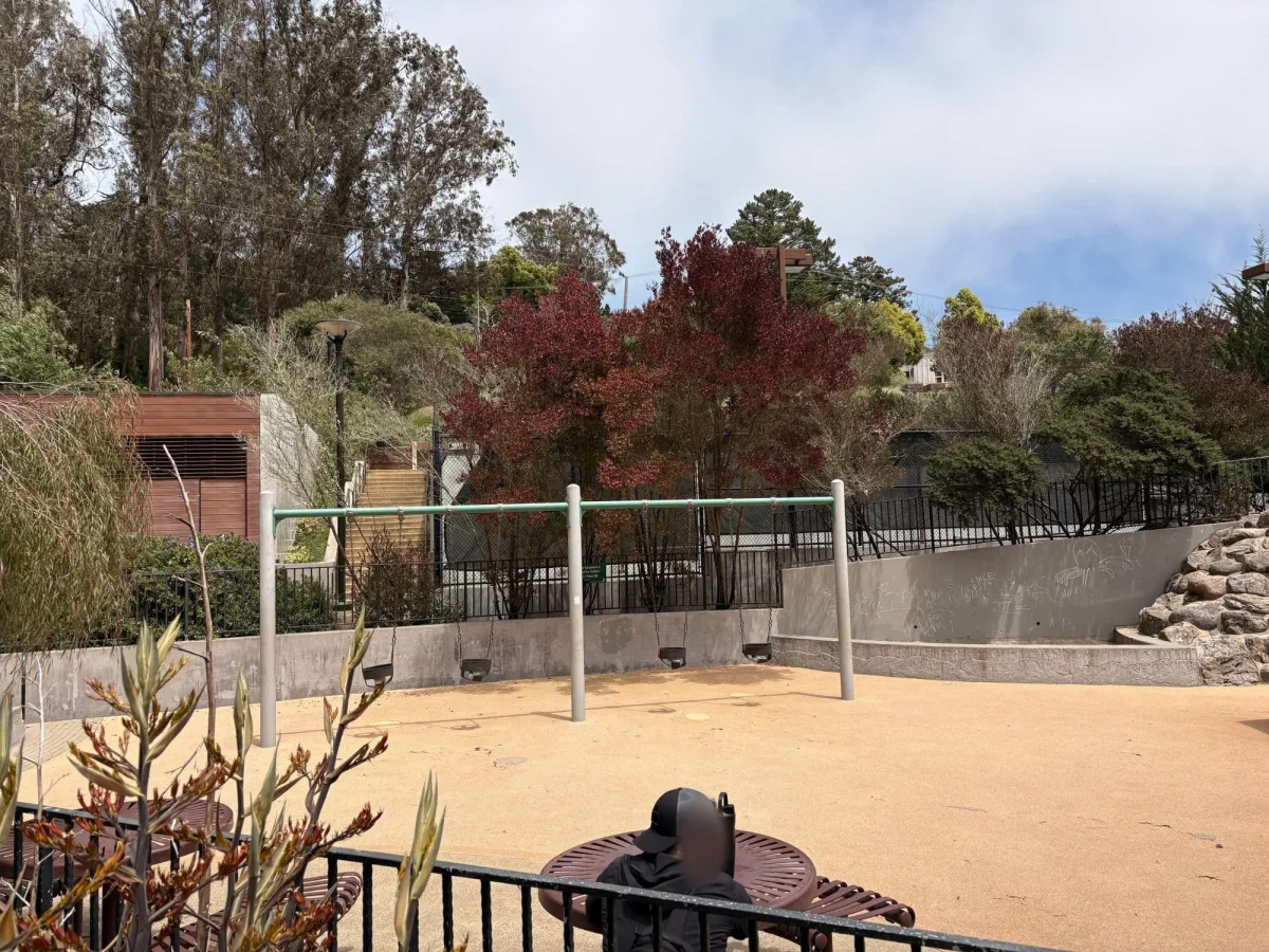 Bucket swings