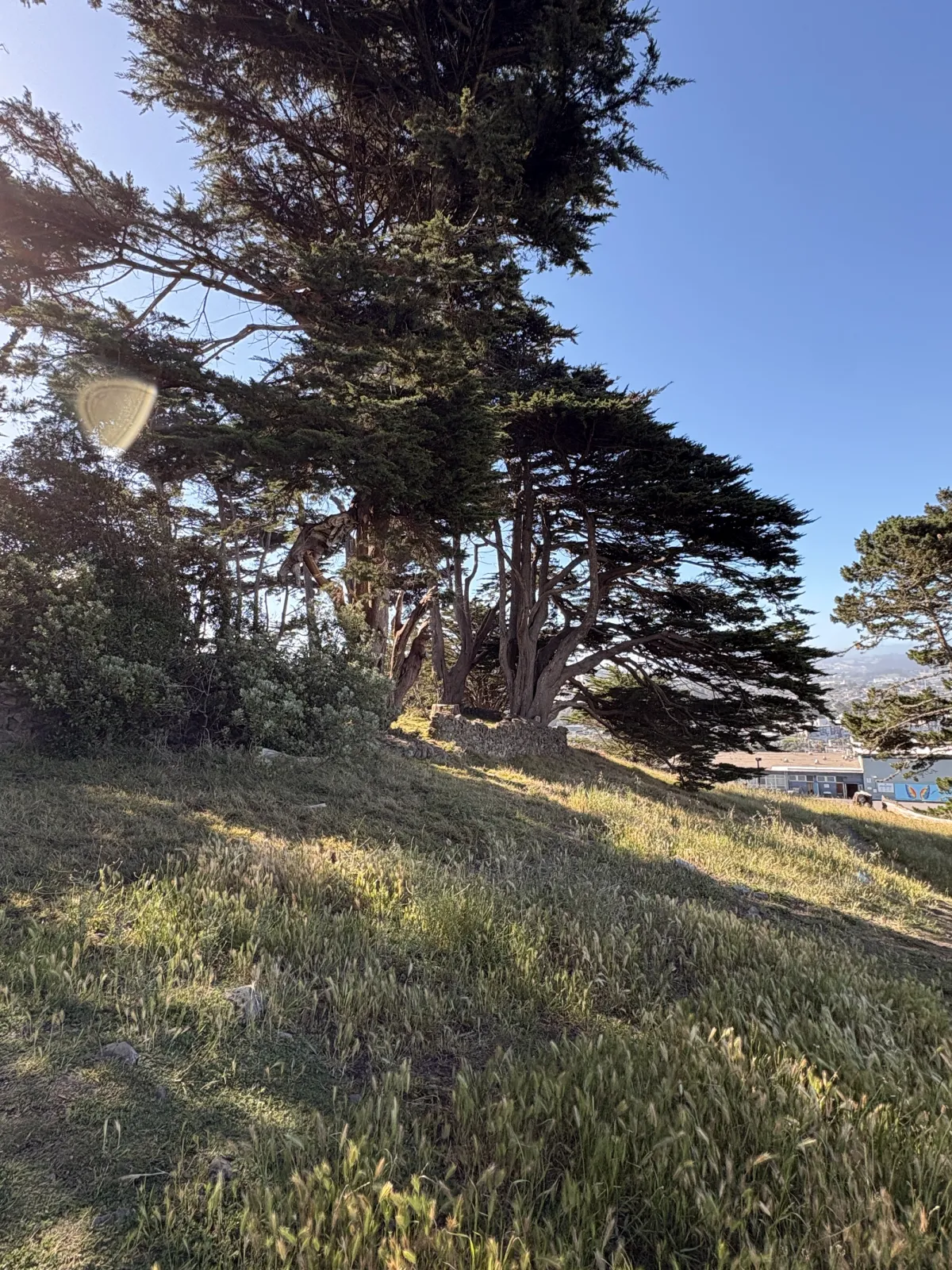 Walking path