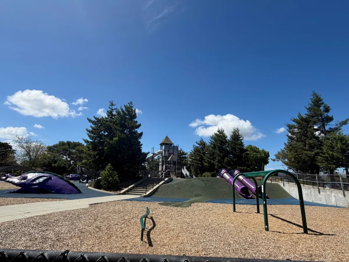 Toddler zone with balance beam, zip line, and tunnel slides