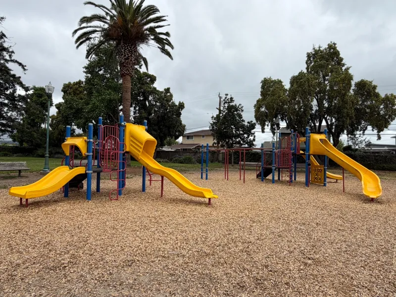 Toddler and big kid play structure