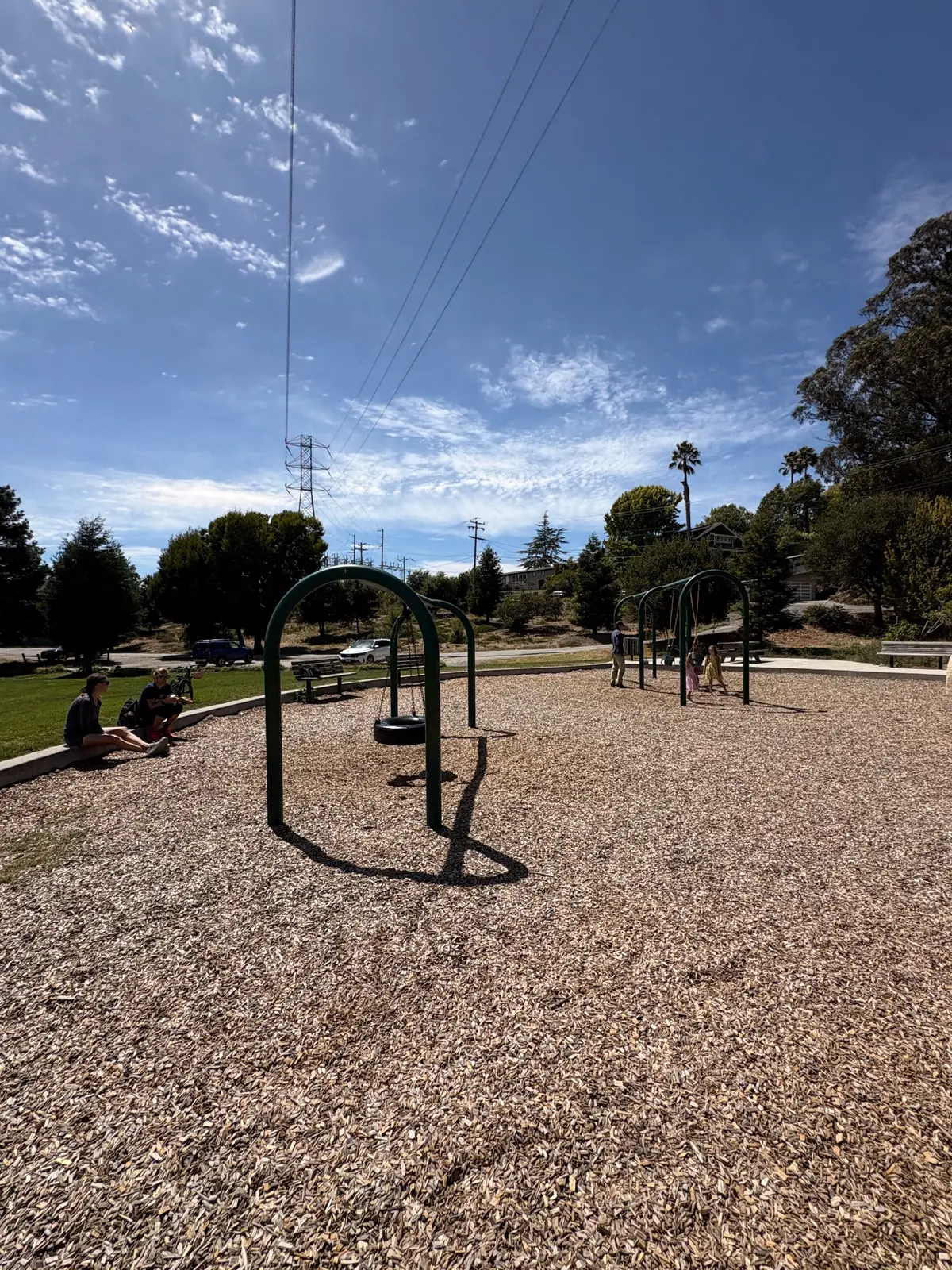Tire swings and other swings
