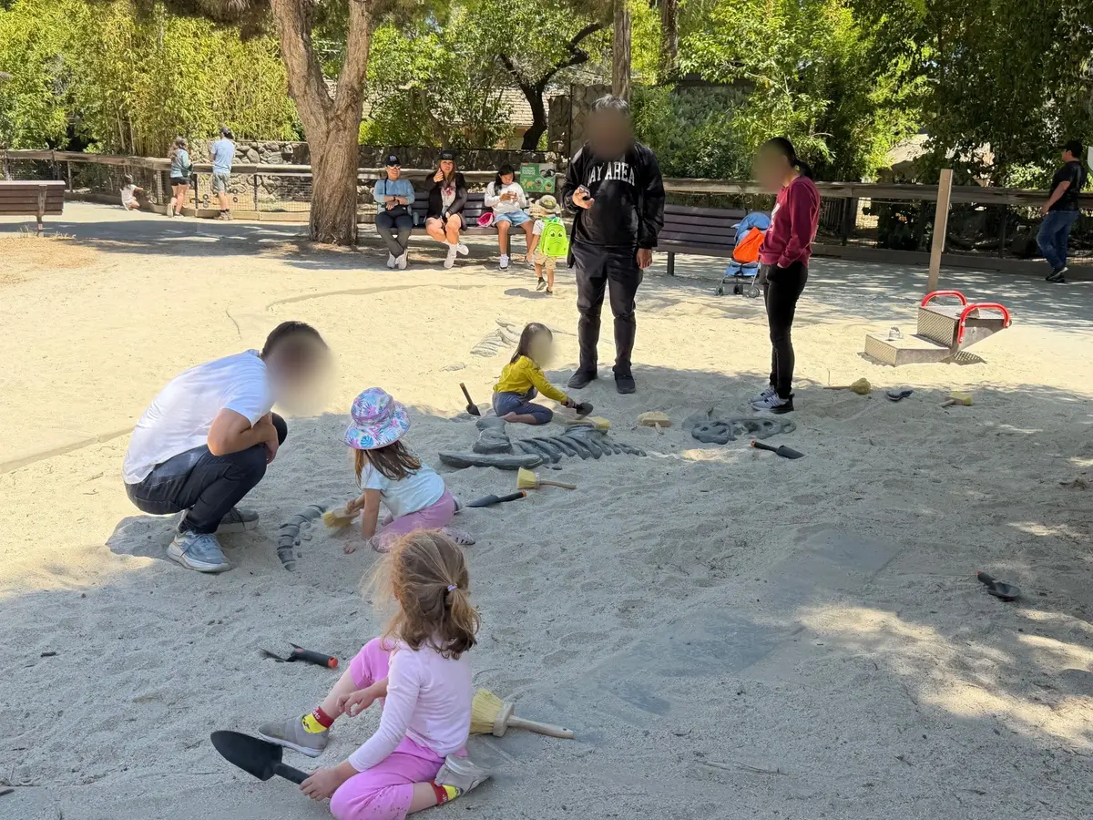 Archaeological dig for dinosaur bones