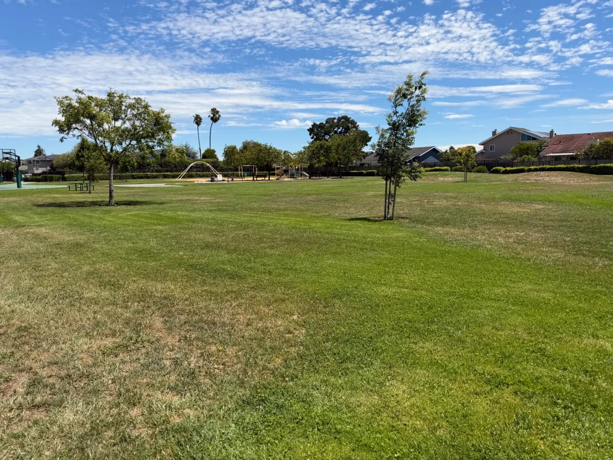 Grass field