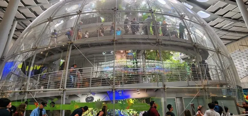 Rainforest dome