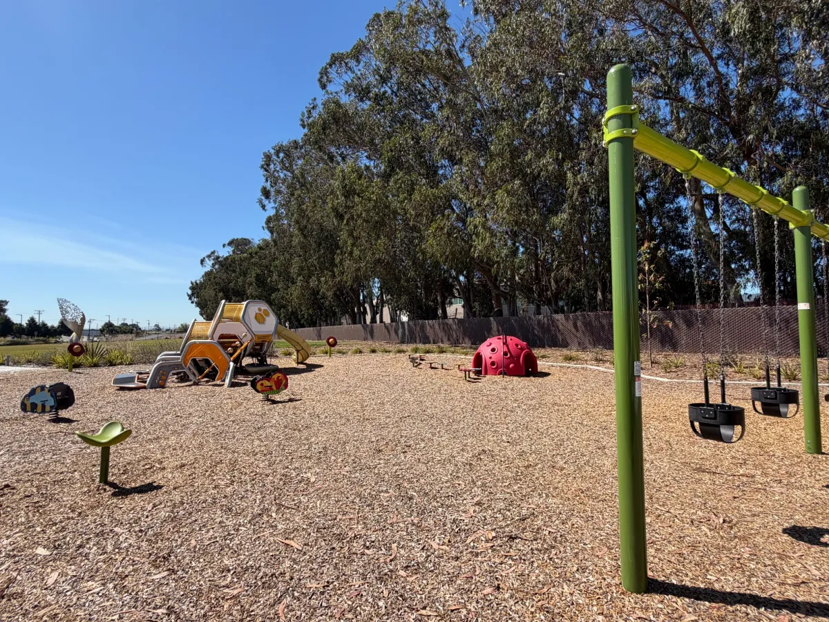 Toddler playground comes with swings, ride on toys, and ladybug igloo
