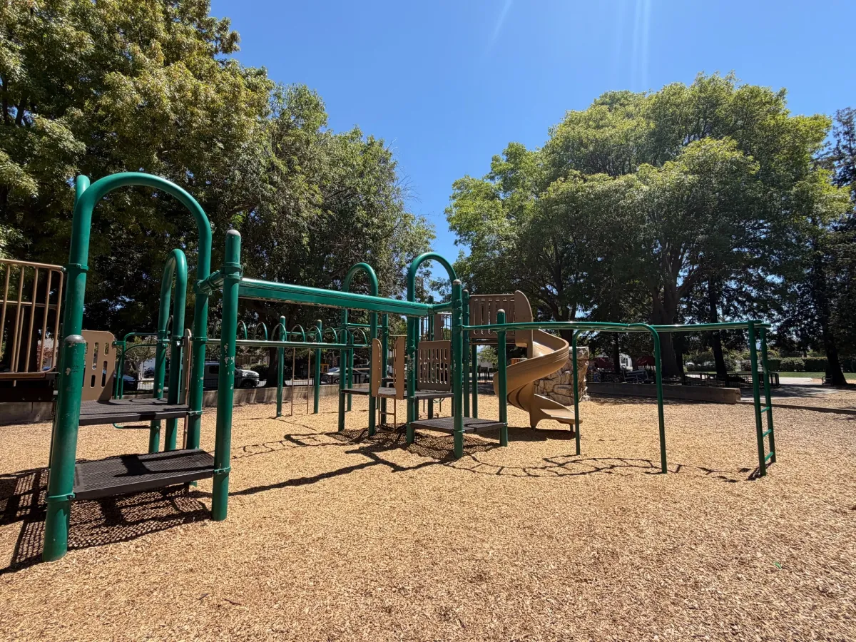 Zip line and monkey bars along back side of play gym