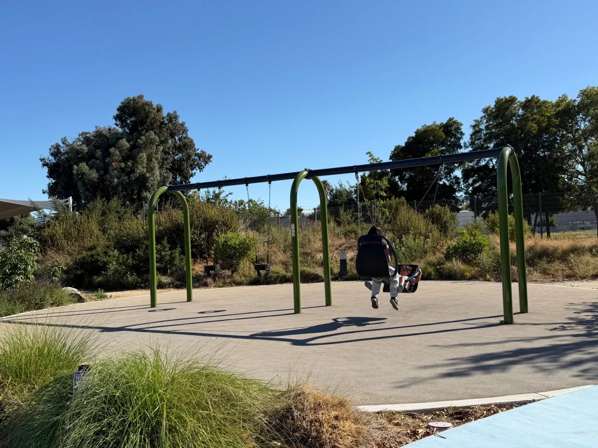 Toddler and friendship swings