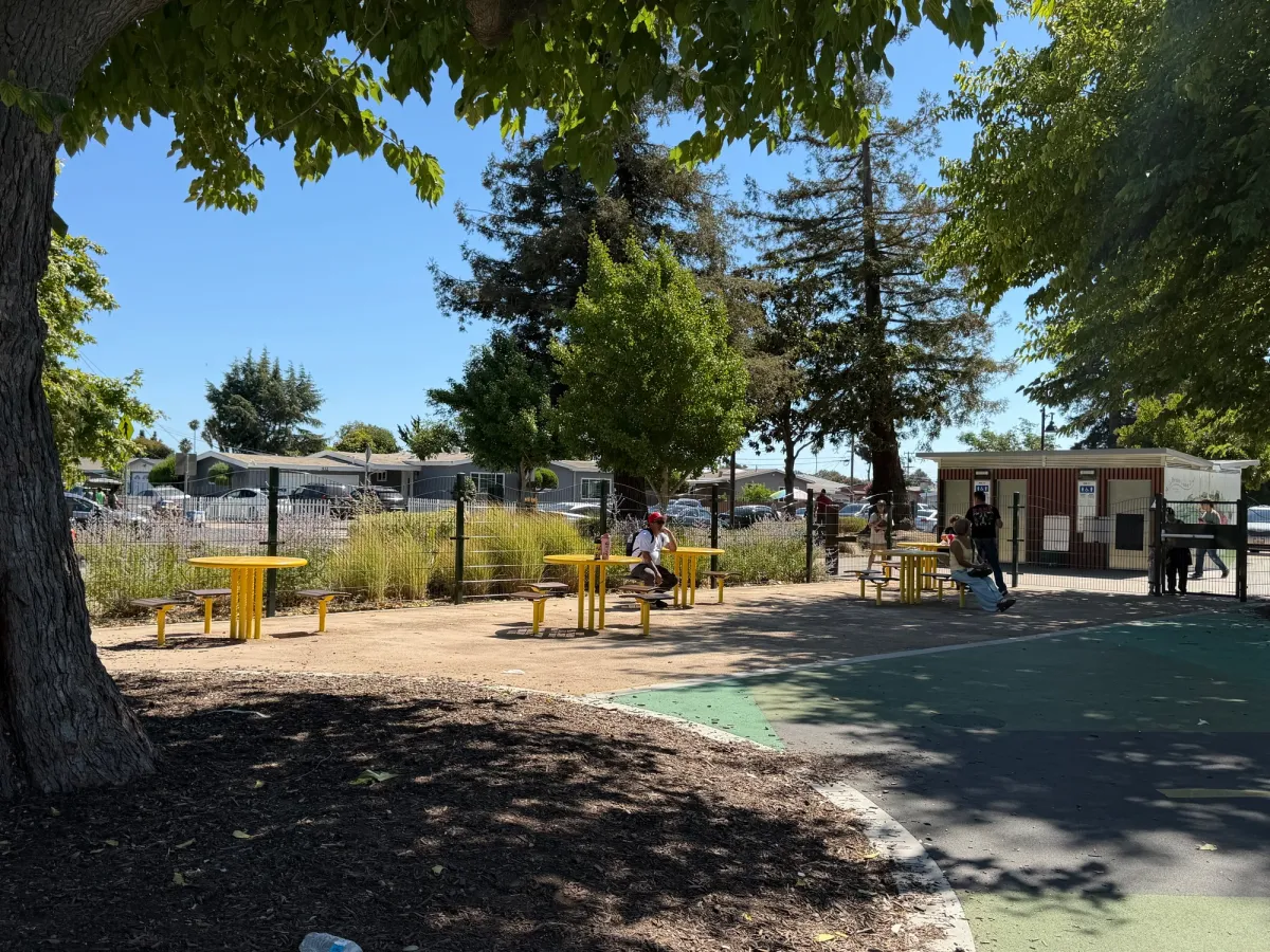 Picnic area