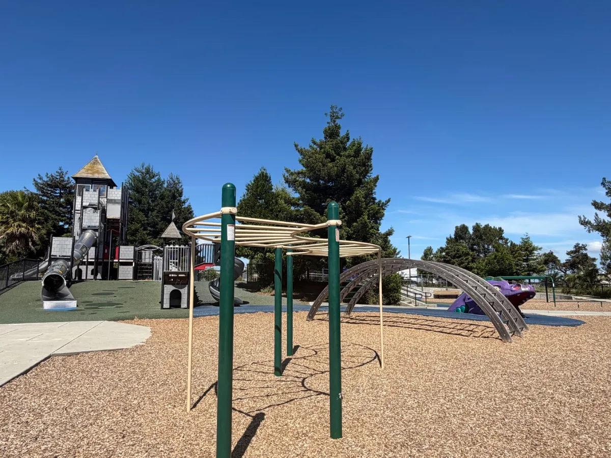 Big kid climbers, monkey bars, dragon, and full castle play structure