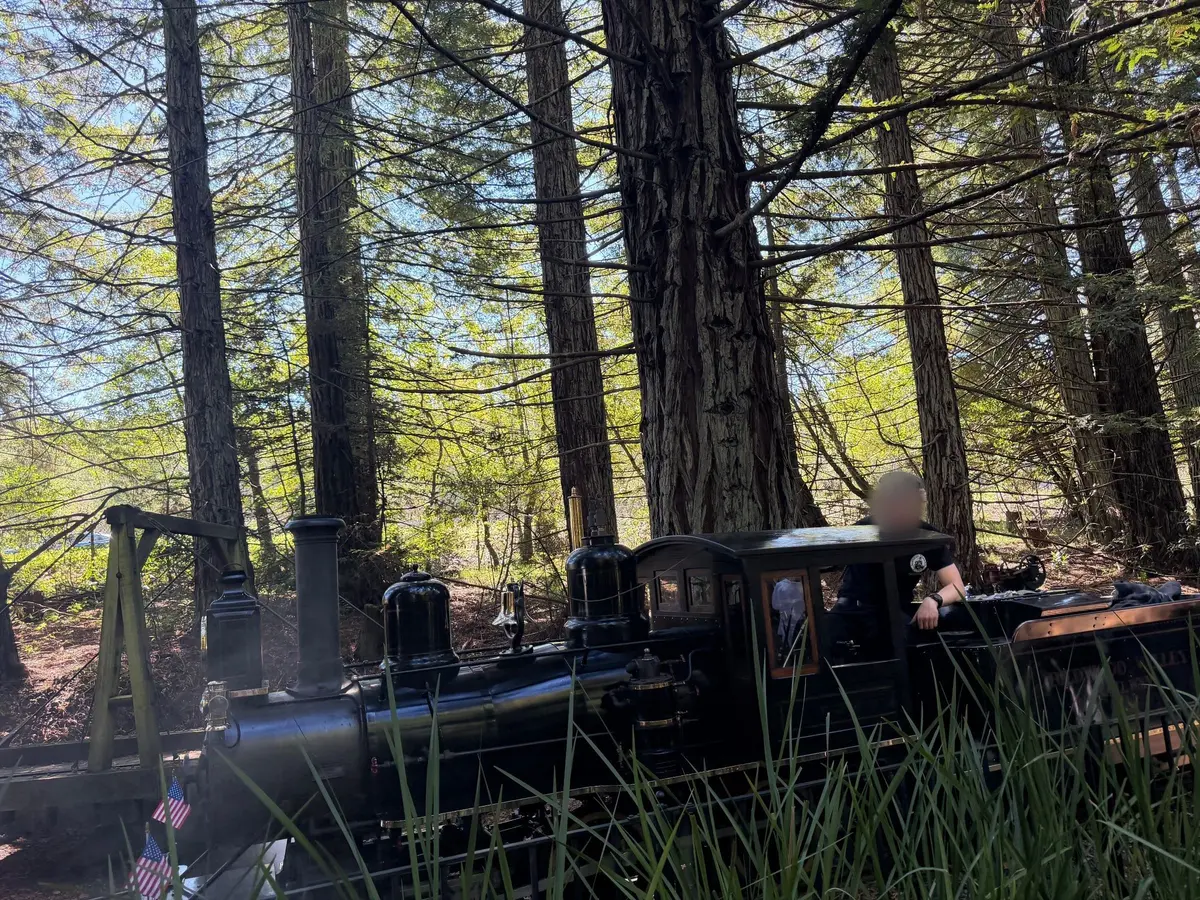 Tilden Park Steam Train at the Redwood Valley Railway