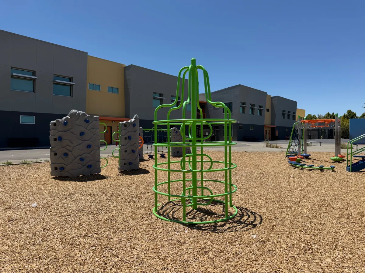 Climbing cage