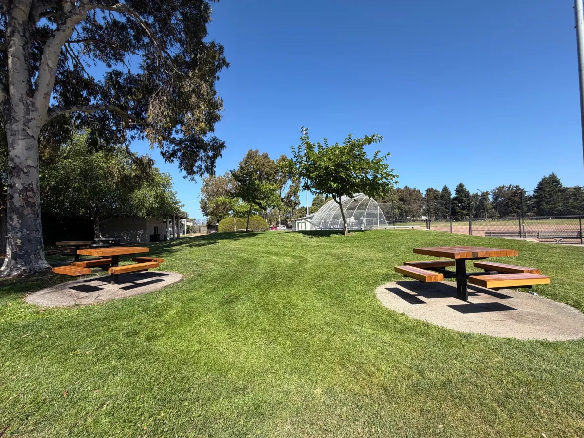Several picnic tables behind the baseball field