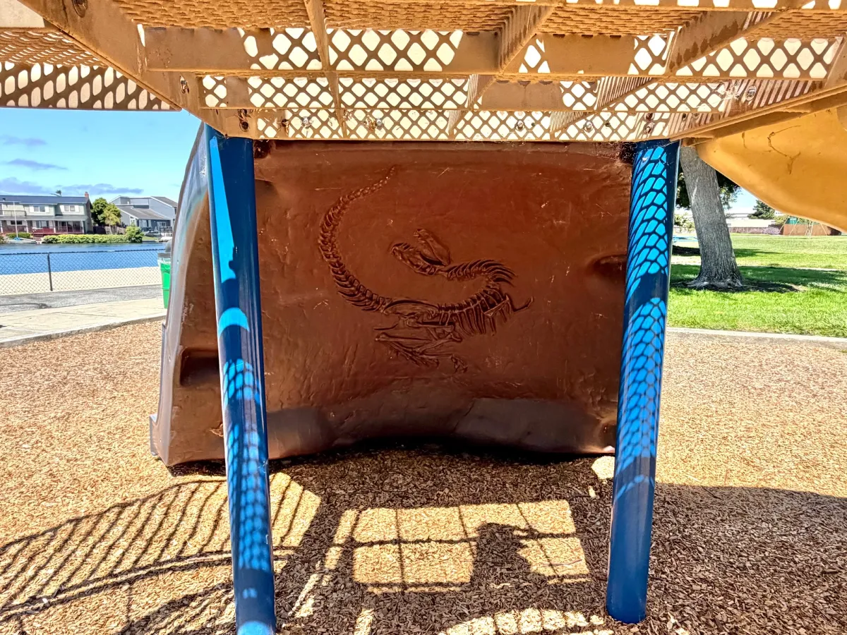 Hidden surprise dinosaur bones underneath the slides