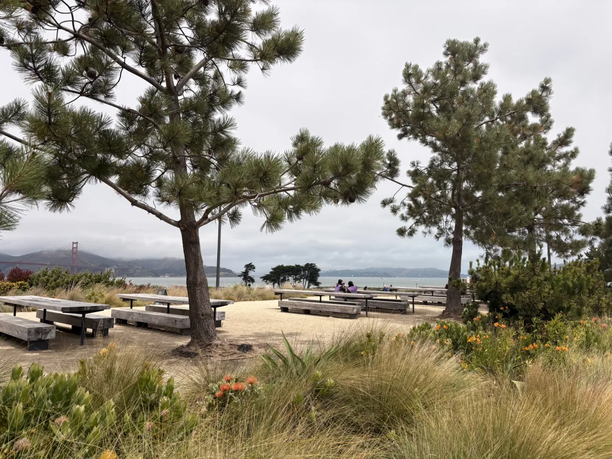 Picnic tables on the upper tunnel tops park