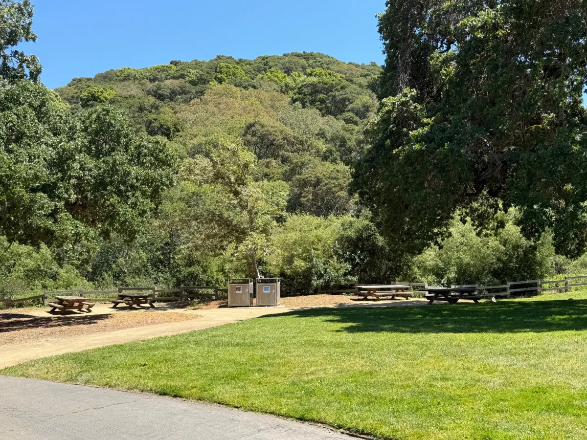 Picnic tables 