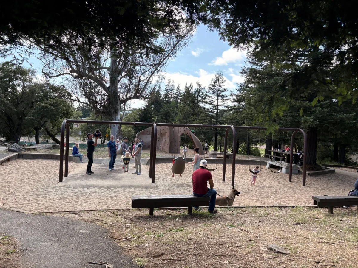 Swing area next to the climbing feature
