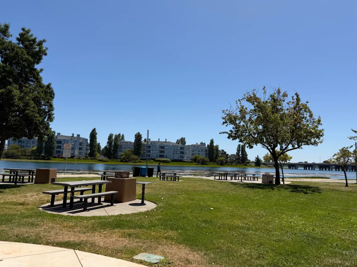 Lots of picnic tables just outside the playground overlooking the marina