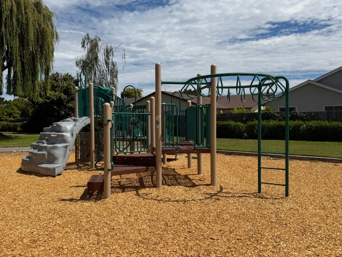 Monkey bars