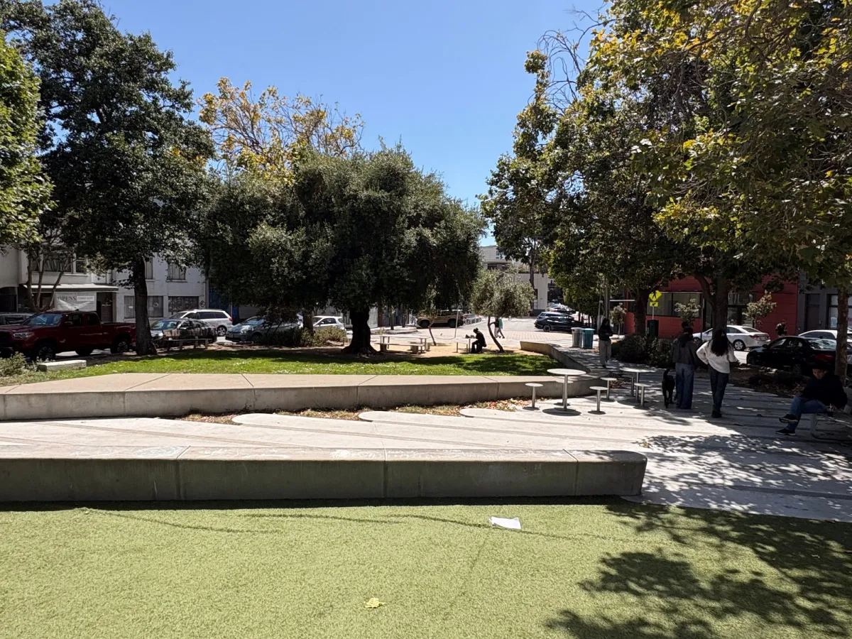 "Grassy area"