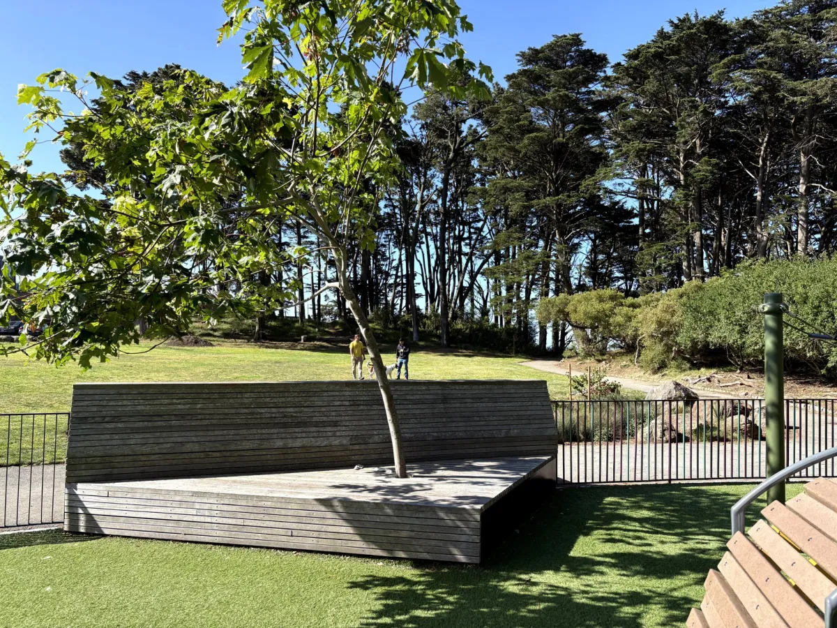 Scandi looking tree and equally scandi seating area.