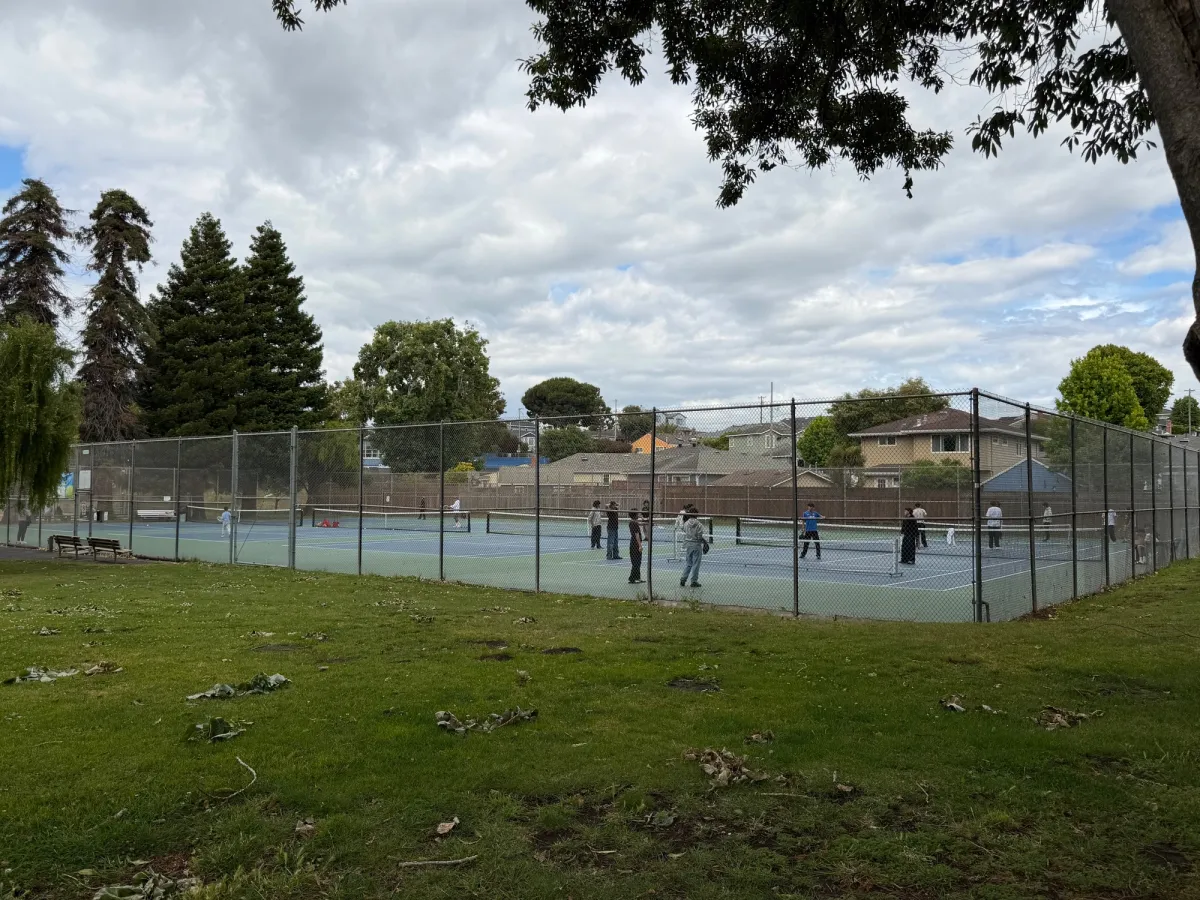 Tennis / pickleball courts
