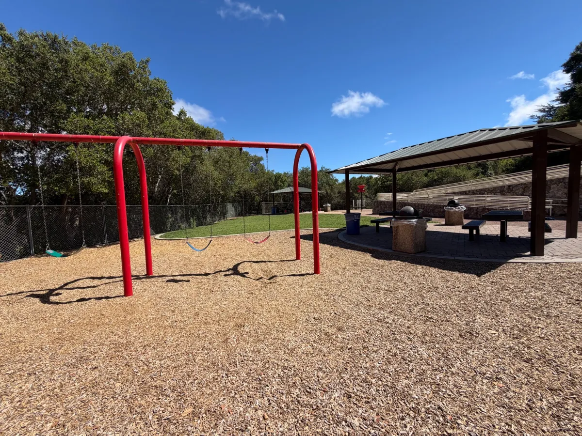 Big kid swings next to picnic area