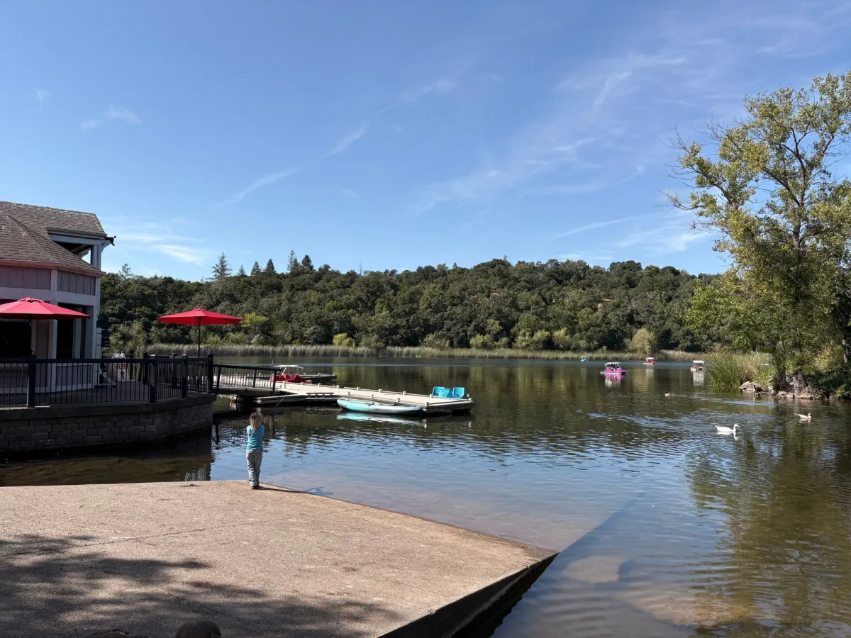 Lake area where you can rent paddleboats