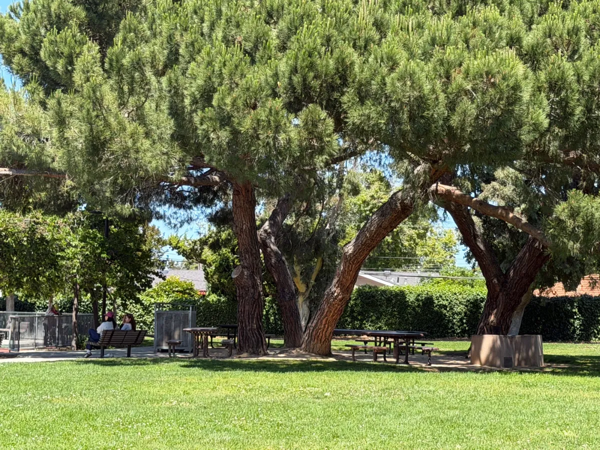 Shaded seating directly in front of playground