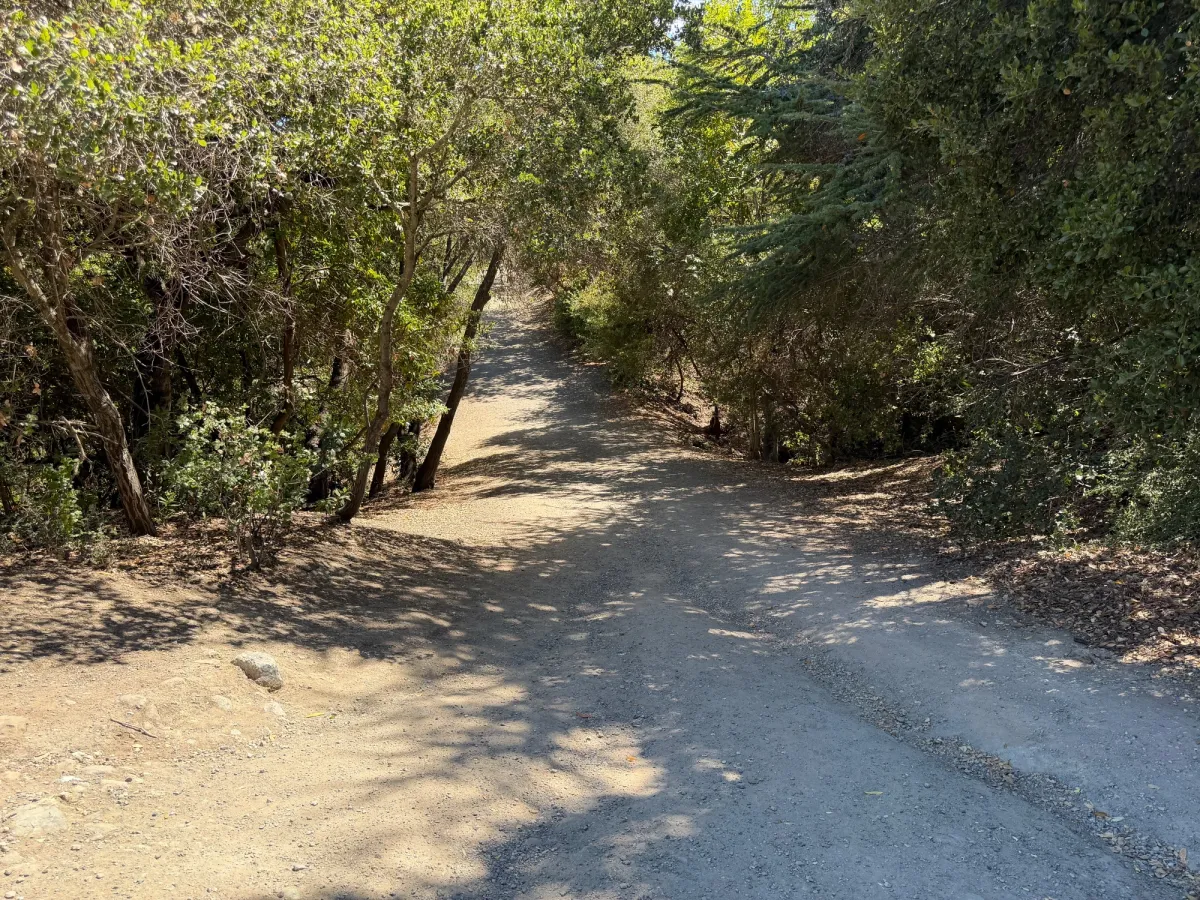 Walking trail