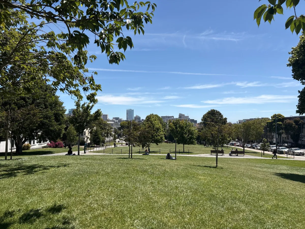 Duboce park grass field
