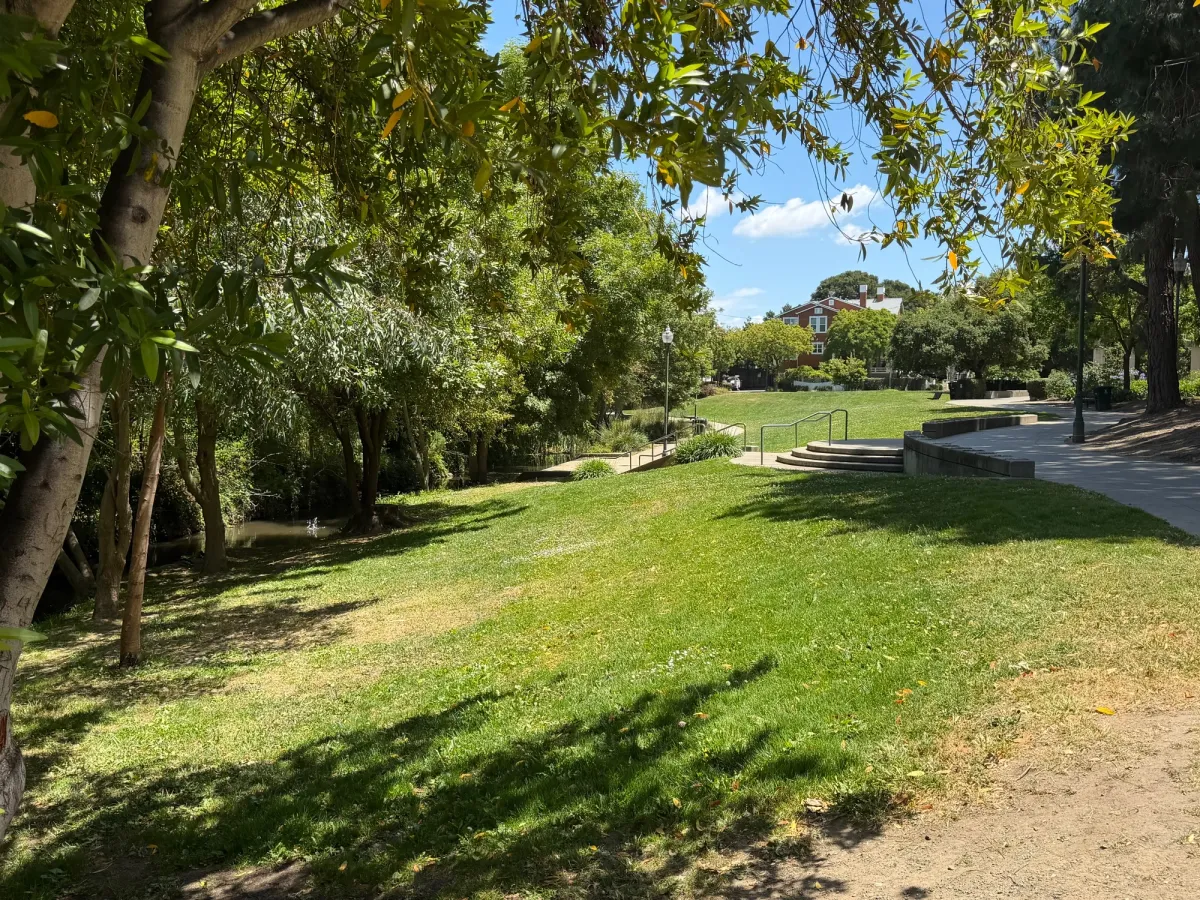Grassy field perfect for picnics