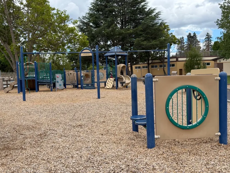 Toddler playground showing play structure with 2 slides, rock wall, tunnel, and baby swings 
