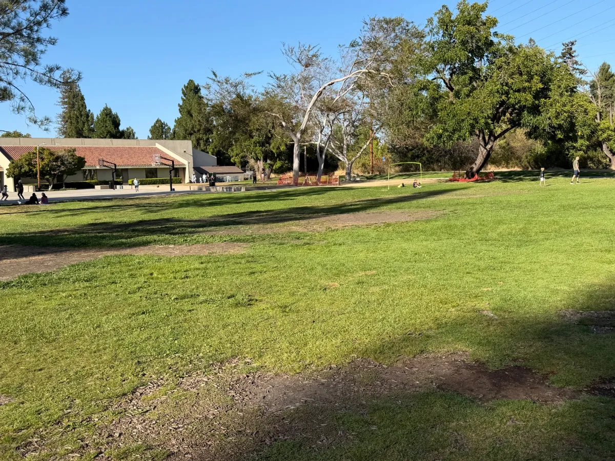 Large grassy fields