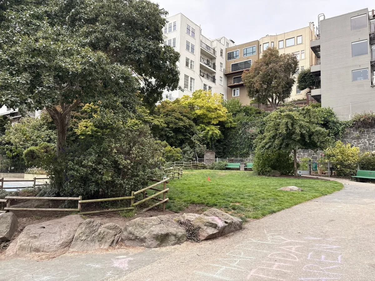 Green dog running area. Dogs have to be on leash